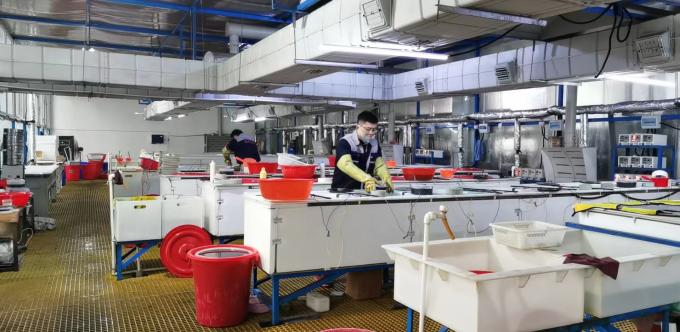 ZHENGZHOU JINCHUAN ABRASIVES CO., LTD. Visita a la fábrica